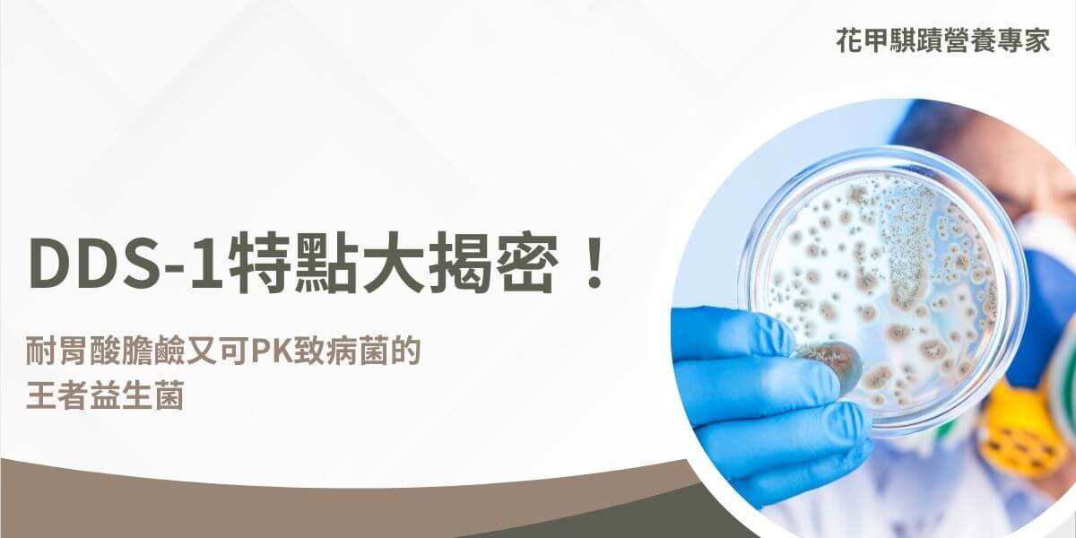 DDS-1 是一款經過65年研究驗證的高效益生菌，具有耐胃酸、耐膽鹼和耐高溫的DDS-1特點，不同於市面上的許多益生菌，無需包埋技術即可抵抗多種致病菌以下花甲騏蹟小編就要為大家介紹DDS-1特點有哪些，如何發揮它強大的健康效益，全面增強消化與免疫健康。