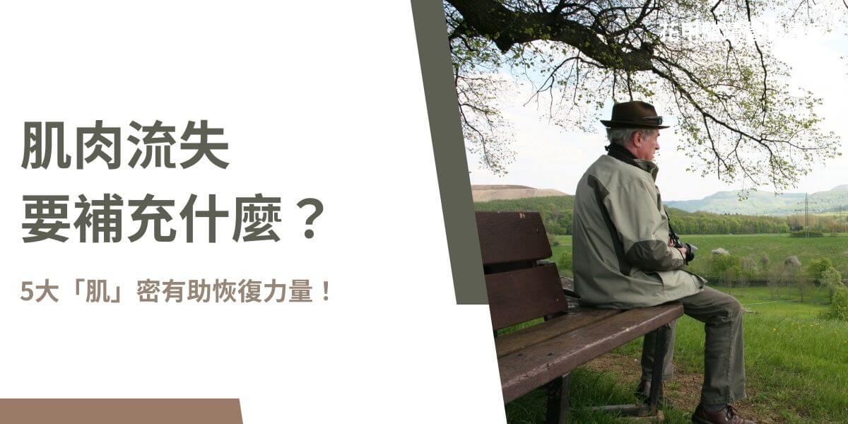 面對肌肉流失的問題，你是否想知道要補充什麼營養素？本文花甲騏蹟小編將說明肌肉流失的原因及關鍵的五大營養素，並提供了實用的方法，幫助你有效抵抗肌肉流失，重拾力量。無論是年齡增長還是運動不足，了解這些營養的力量，將助你在健康的道路上越走越遠！