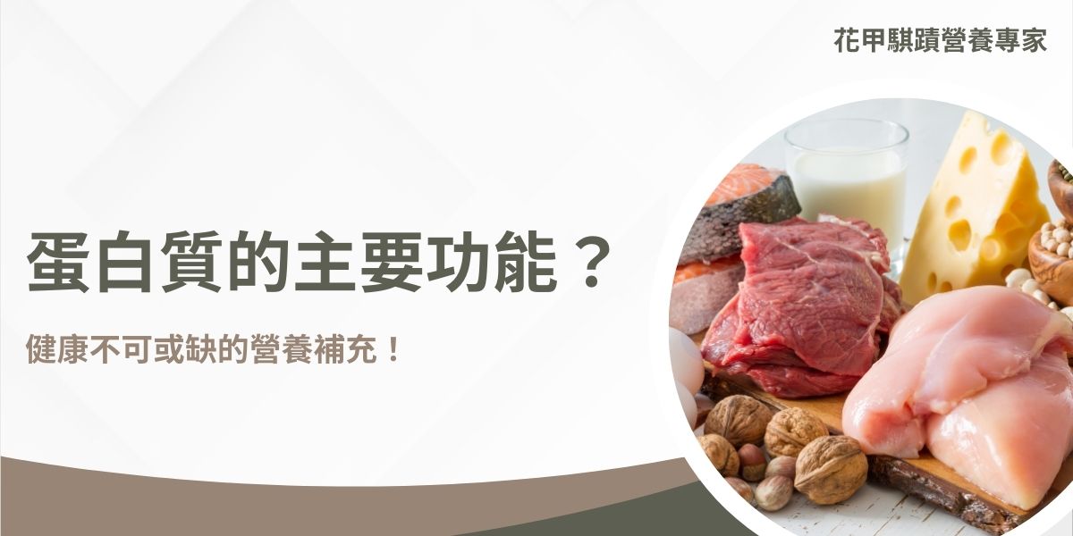 蛋白質的主要功能包含組織身體、調節生理功能、支持免疫系統和運輸儲存氧氣等，但是要如何發揮蛋白質的這些好處呢？本篇教你正確搭配蛋白質和補充的時間，發揮蛋白質的最大效用！