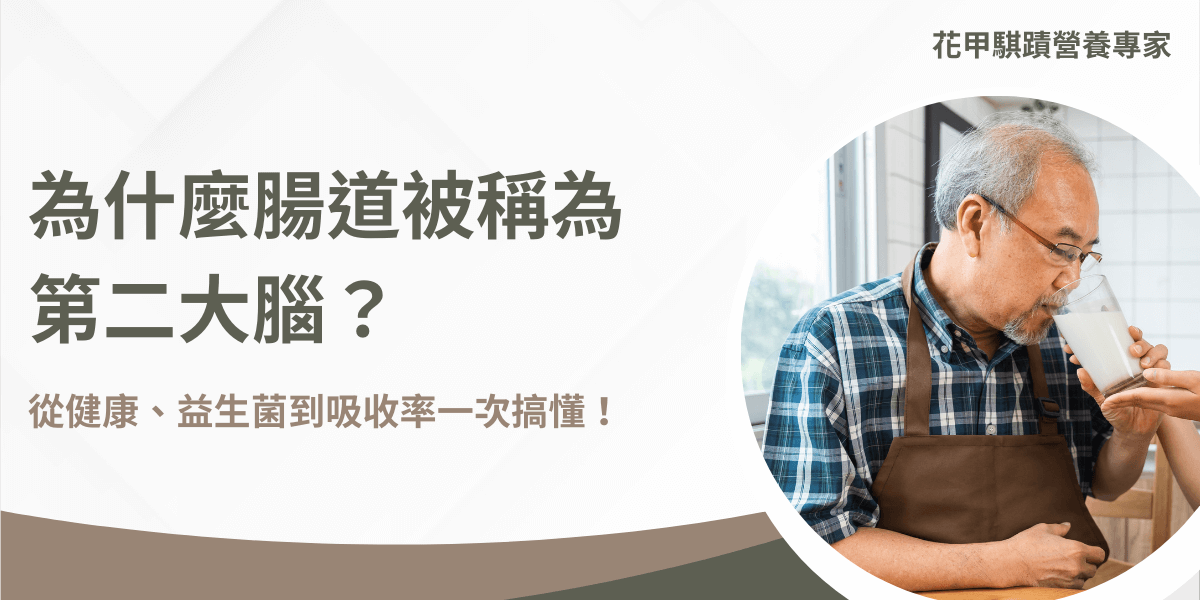 腸道為什麼被稱為第二大腦？圖解腸道與健康的關聯