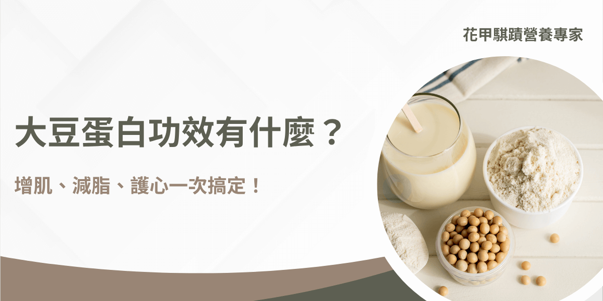 大豆蛋白的功效與營養說明